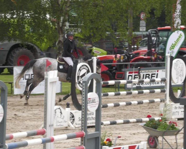 Reitturnier Mücke-Atzenhain 2024