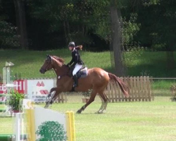 Gardelegen 2012