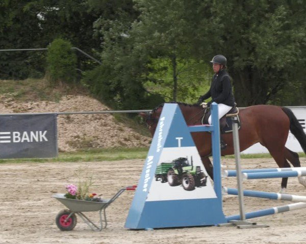 Reitturnier Mücke-Atzenhain 2024