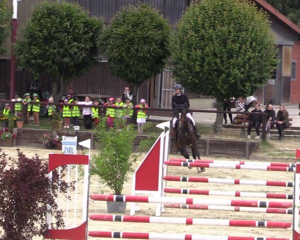Reitturnier Schönfeld 2024