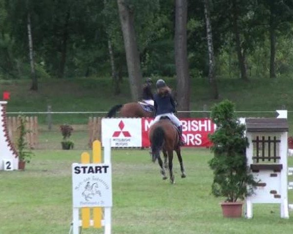 Gardelegen 2012