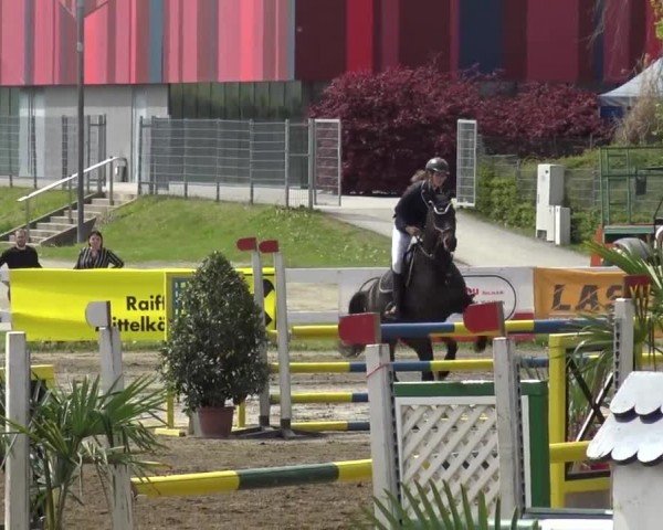Reitturnier Ranftlhof 2024
