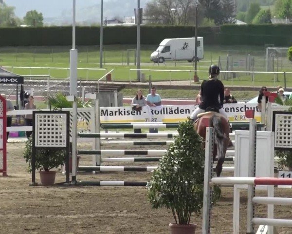 Reitturnier Ranftlhof 2024