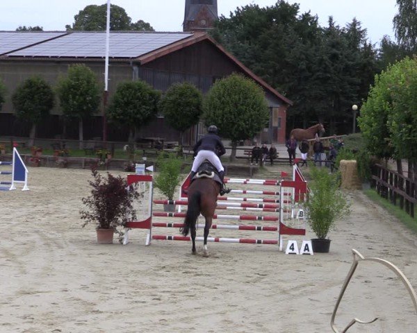 Reitturnier Schönfeld 2024