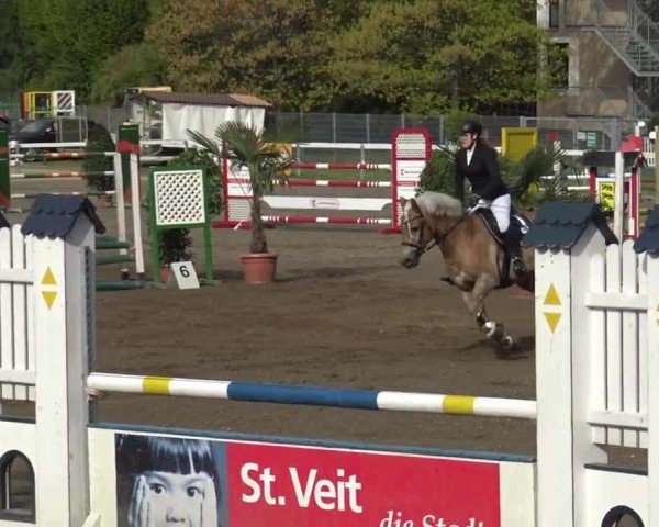 Reitturnier Ranftlhof 2024