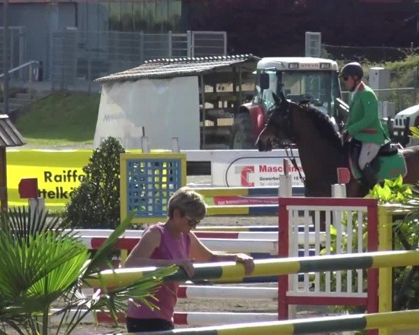 Reitturnier Ranftlhof 2024
