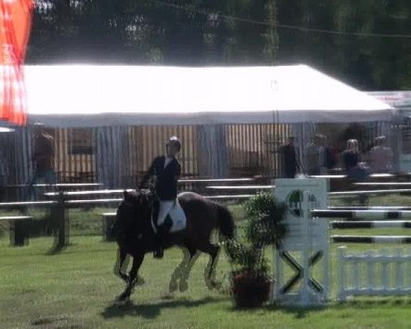 Gardelegen 2012
