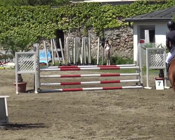 Reitturnier Ranftlhof 2024