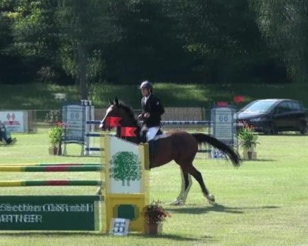 Gardelegen 2012