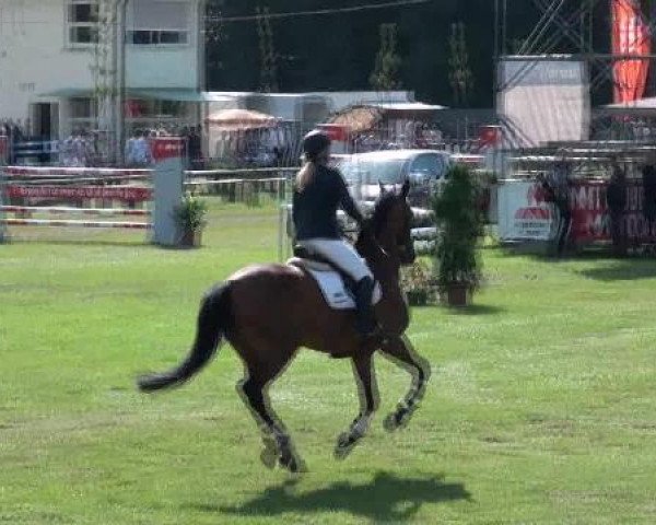 Gardelegen 2012