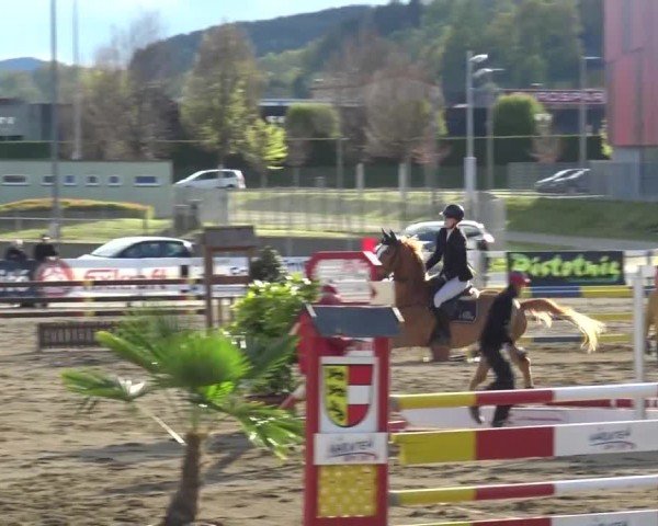 Reitturnier Ranftlhof 2024