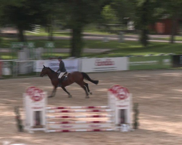 Reitturnier Stadl-Paura 2024