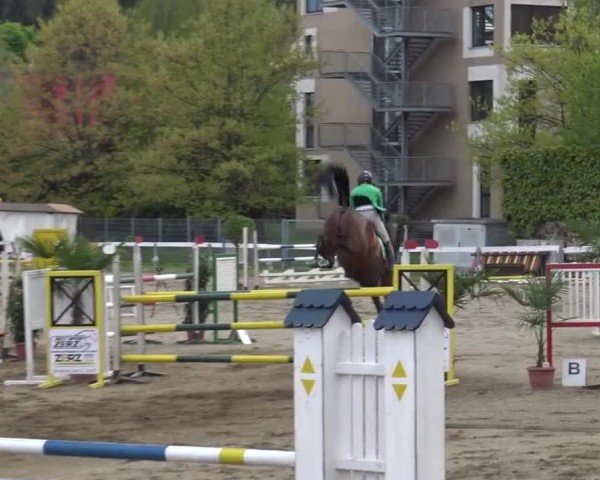 Reitturnier Ranftlhof 2024