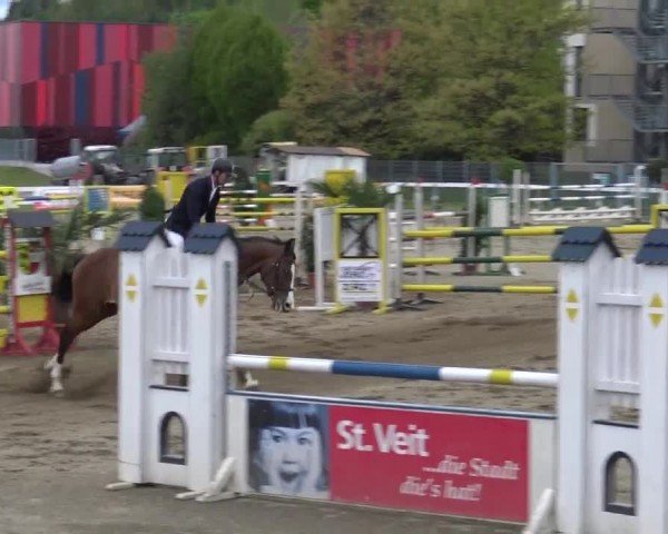 Reitturnier Ranftlhof 2024