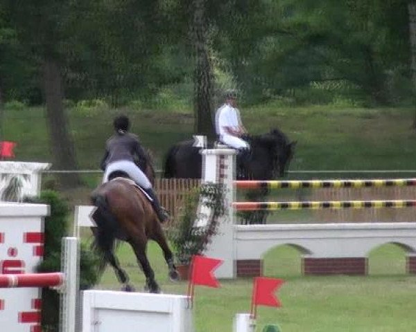 Reitturnier Gardelegen 2012