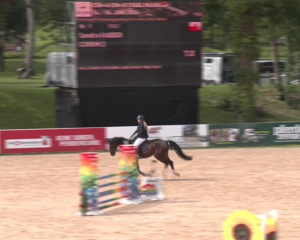 Reitturnier Stadl-Paura 2024