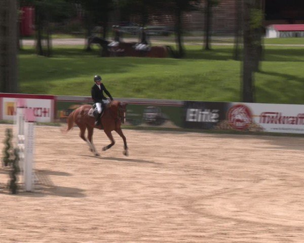 Reitturnier Stadl-Paura 2024