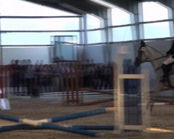 Reitturnier Datteln 2012