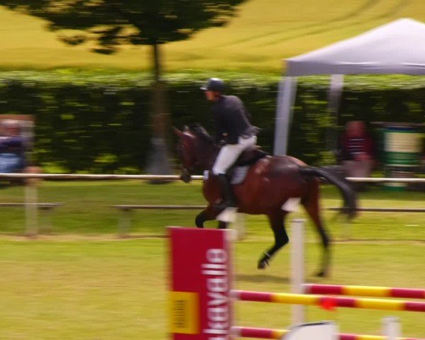 Reitturnier Wingerode 2024
