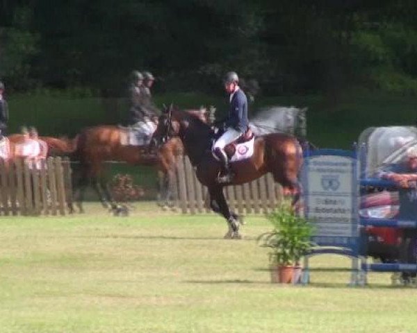 Gardelegen 2012
