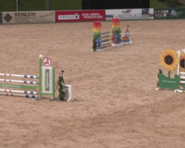 Reitturnier Stadl-Paura 2024