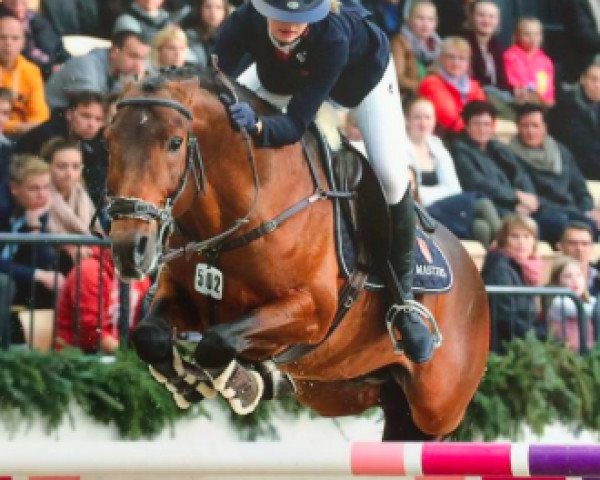 jumper Fostymana Vh Trichelhof (Belgian Riding Pony, 2001, from Kantje's Korporaal)