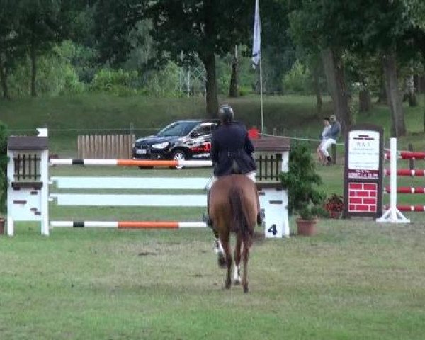 Gardelegen 2012