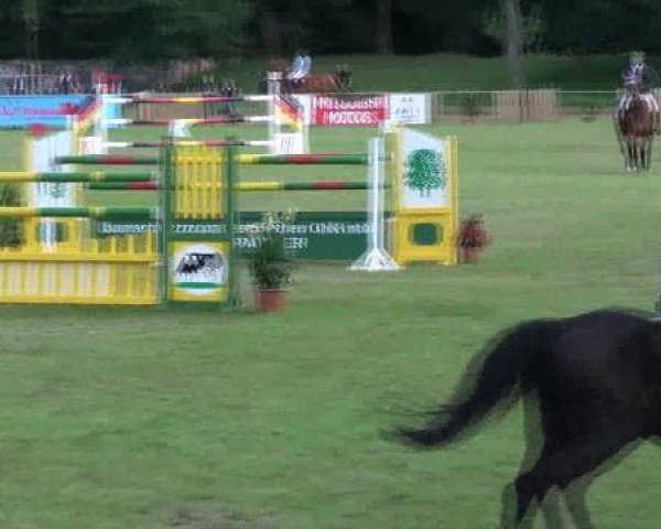 Gardelegen 2012