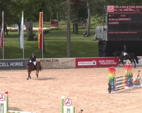 Reitturnier Stadl-Paura 2024