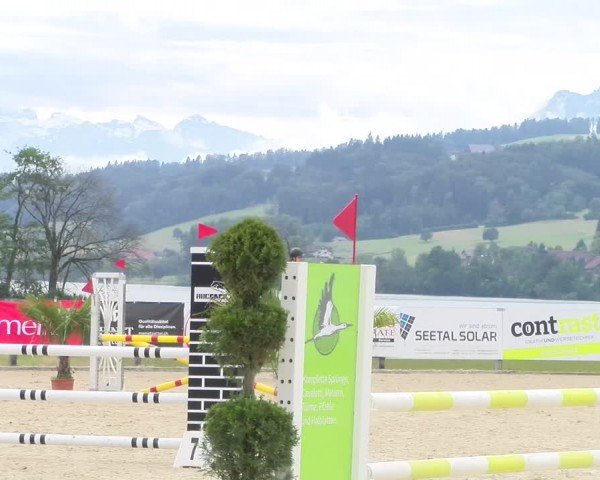 Reitturnier Hitzkirch 2024