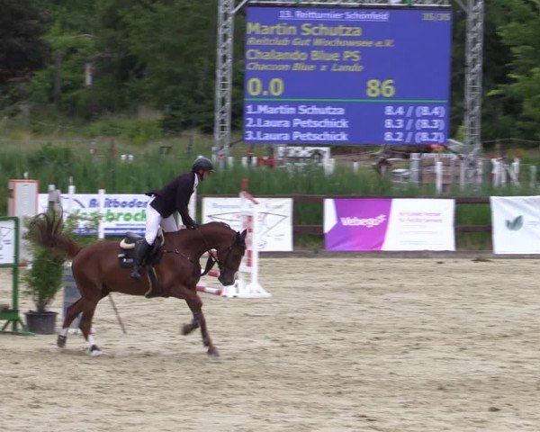 Reitturnier Schönfeld 2024