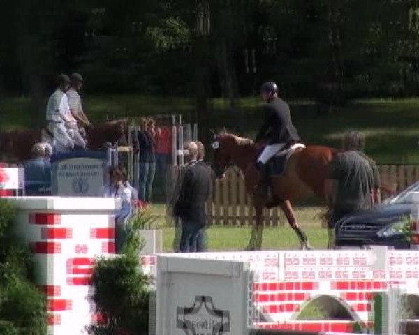 Reitturnier Gardelegen 2012