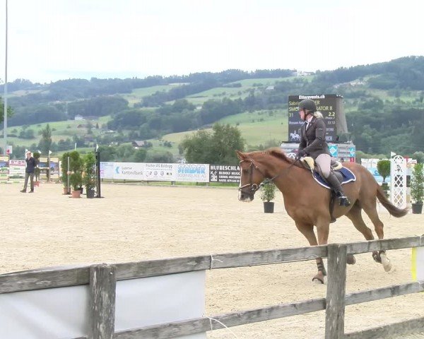Reitturnier Hitzkirch 2024