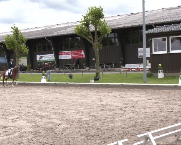 Reitturnier Fröndenberg 2024