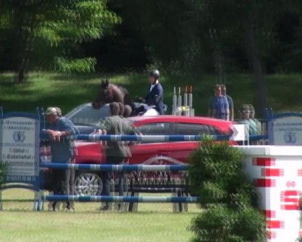 Gardelegen 2012