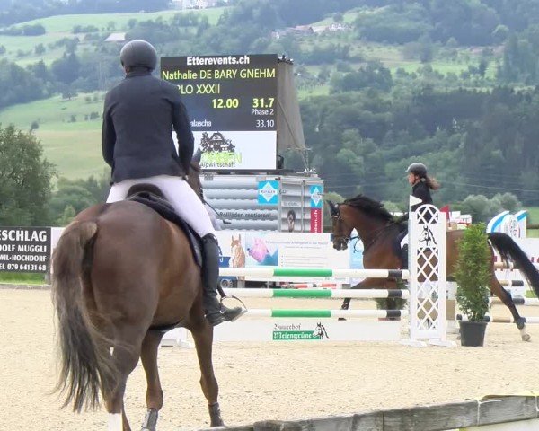 Reitturnier Hitzkirch 2024