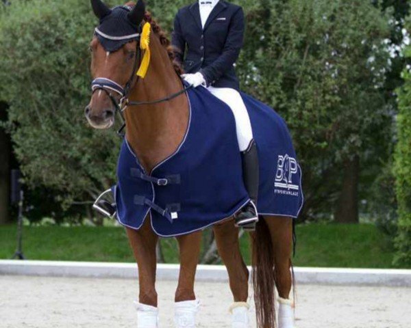 Dressurpferd Le Beau 73 (Hannoveraner, 2016, von Londontime)