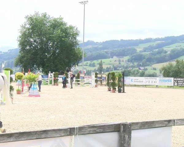 Reitturnier Hitzkirch 2024