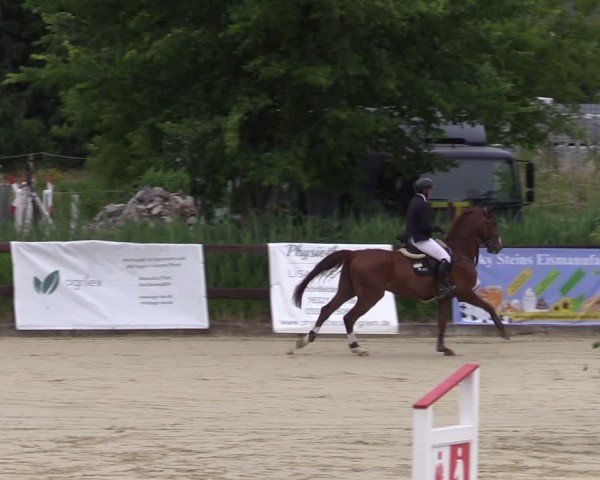 Reitturnier Schönfeld 2024