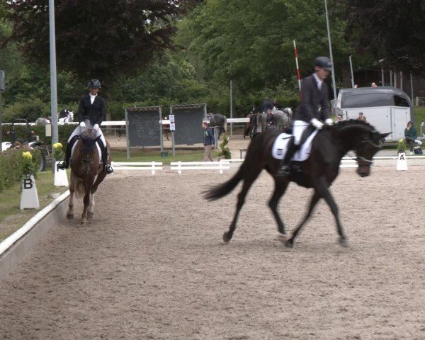 Reitturnier Fröndenberg 2024