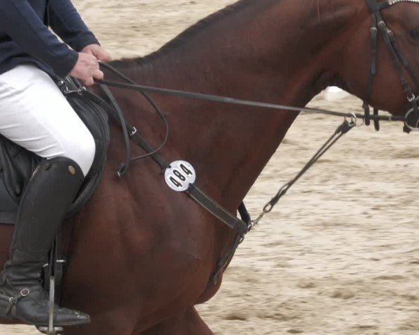 Reitturnier Mücke-Atzenhain 2024