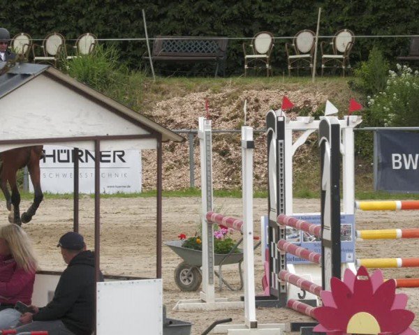 Reitturnier Mücke-Atzenhain 2024