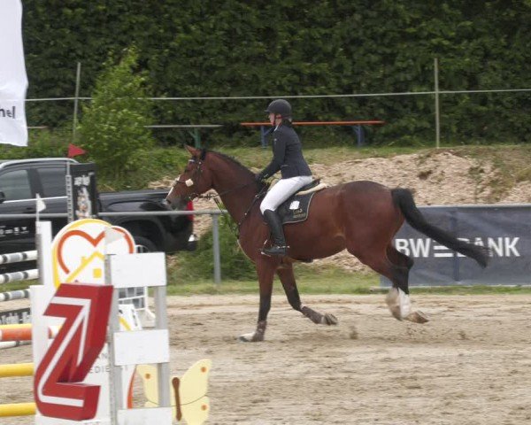 Reitturnier Mücke-Atzenhain 2024