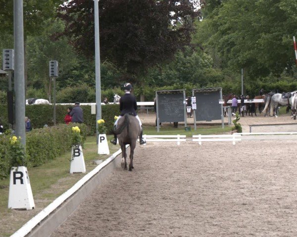 Reitturnier Fröndenberg 2024
