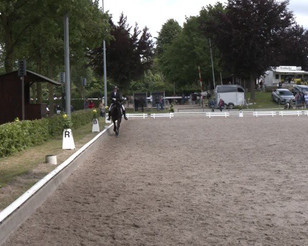 Reitturnier Fröndenberg 2024
