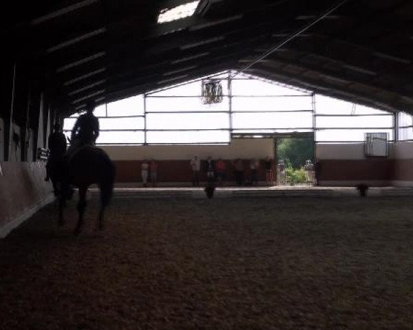 Datteln 2012