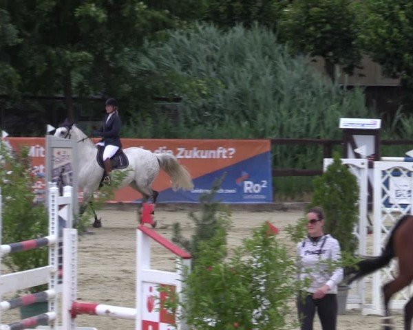 Reitturnier Schönfeld 2024