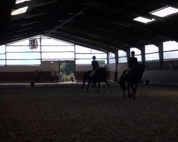 Datteln 2012