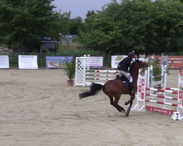 Reitturnier Schönfeld 2024