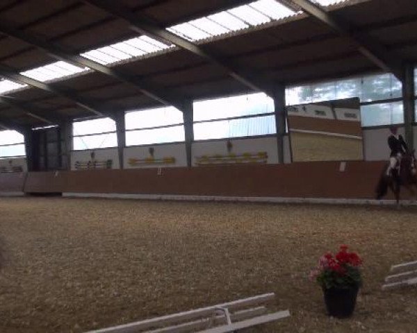 Datteln 2012